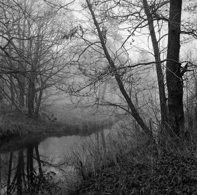 landscape_004_ed.jpg