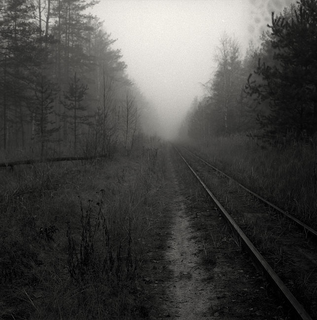 x107_107_ed.jpg