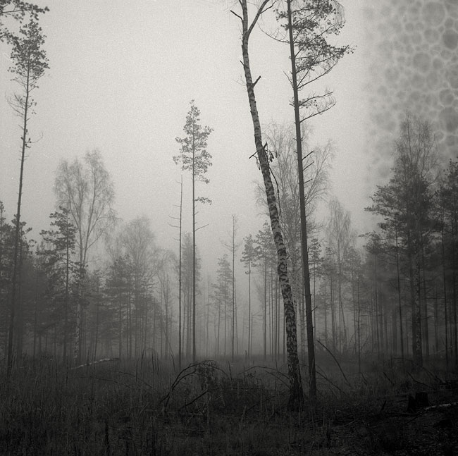 x107_110_ed.jpg