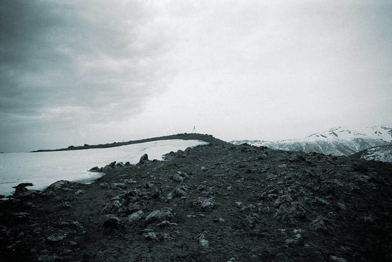 x115_319.jpg