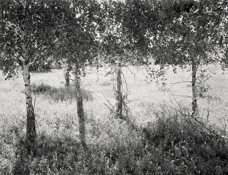 462_06_003.jpg