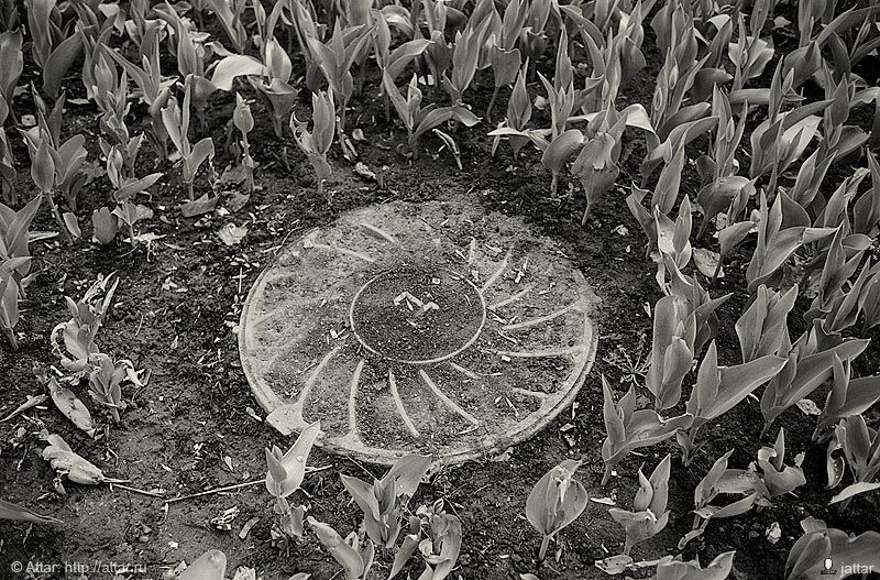 513_01_002.jpg
