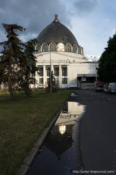 dsc02271.jpg